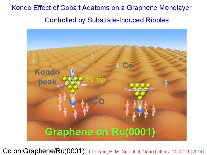 Kondo Effect of Cobalt Adatoms on a Graphene Monolayer Controlled by Substrate-Induced Ripples Kondo