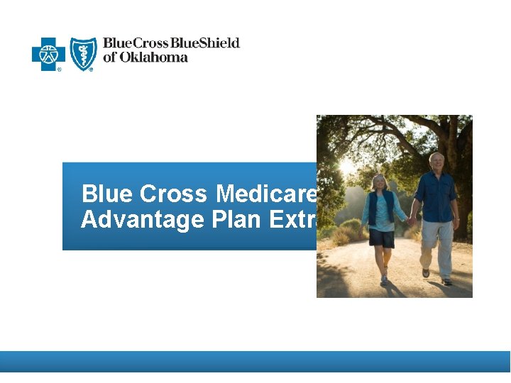 Blue Cross Medicare Advantage Plan Extras 