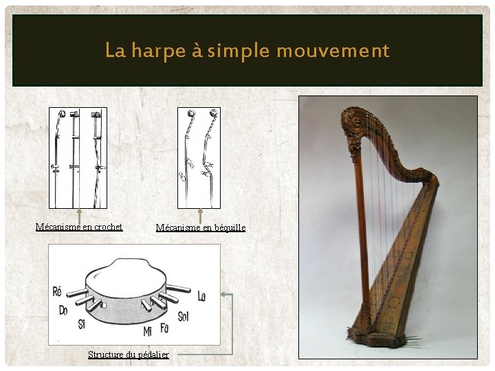 La harpe à simple mouvement Mécanisme en crochet Mécanisme en béquille Structure du pédalier La harpe à simple mouvement Mécanisme en crochet Mécanisme en béquille Structure du pédalier
