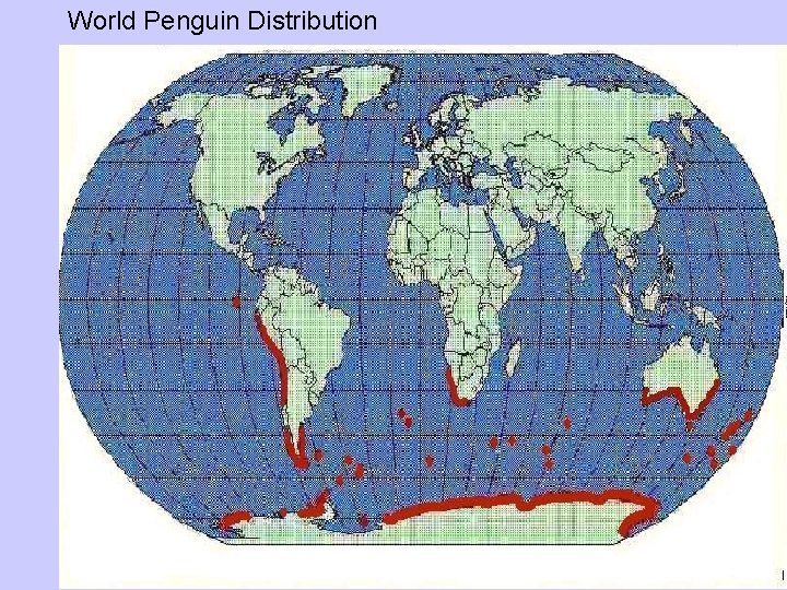 World Penguin Distribution 