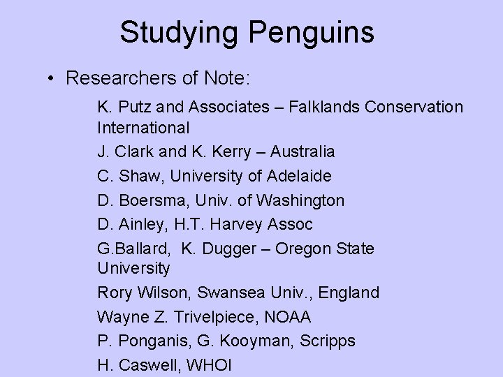 Studying Penguins • Researchers of Note: K. Putz and Associates – Falklands Conservation International