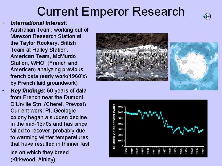 Current Emperor Research • • International Interest: Australian Team: working out of Mawson Research