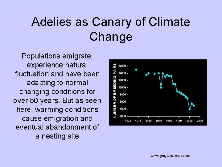 Adelies as Canary of Climate Change Populations emigrate, experience natural fluctuation and have been