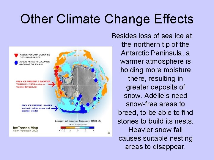 Other Climate Change Effects Besides loss of sea ice at the northern tip of