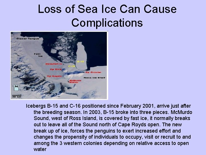 Loss of Sea Ice Can Cause Complications Icebergs B-15 and C-16 positioned since February