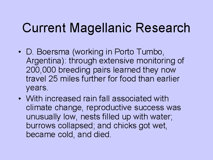 Current Magellanic Research • D. Boersma (working in Porto Tumbo, Argentina): through extensive monitoring