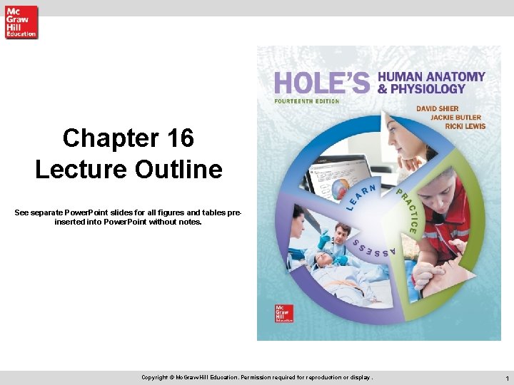 Chapter 16 Lecture Outline See separate Power Point