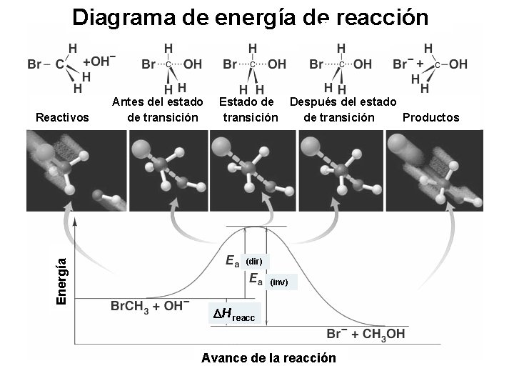 Diagrama de energía de reacción Energía Reactivos Antes del estado de transición Estado de Diagrama de energía de reacción Energía Reactivos Antes del estado de transición Estado de