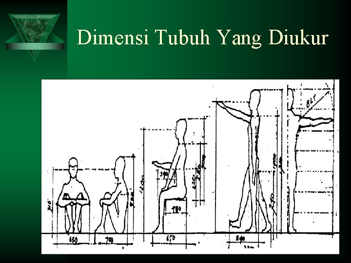 Dimensi Tubuh Yang Diukur 