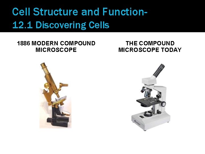 Cell Structure and Function 12. 1 Discovering Cells 1886 MODERN COMPOUND MICROSCOPE THE COMPOUND