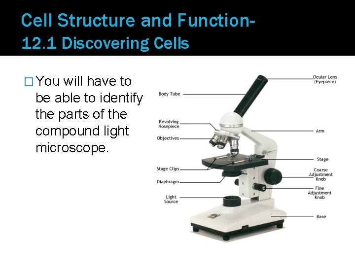 Cell Structure and Function 12. 1 Discovering Cells � You will have to be