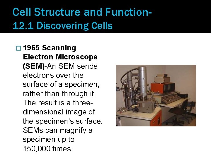 Cell Structure and Function 12. 1 Discovering Cells � 1965 Scanning Electron Microscope (SEM)-An