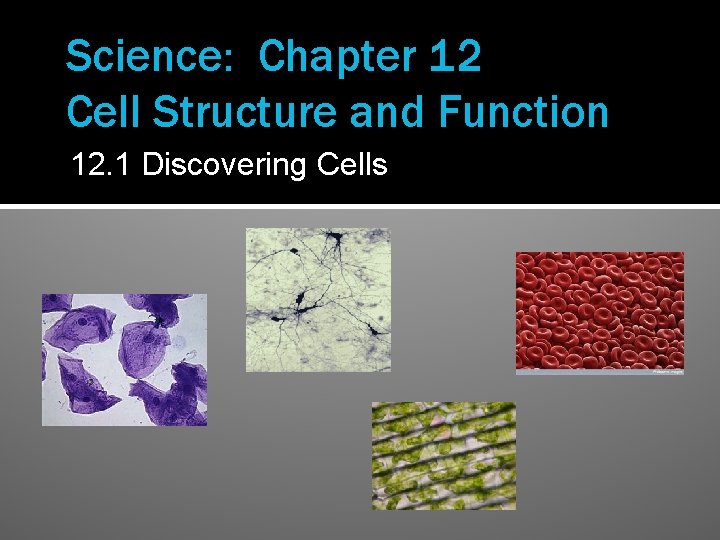 Science: Chapter 12 Cell Structure and Function 12. 1 Discovering Cells 