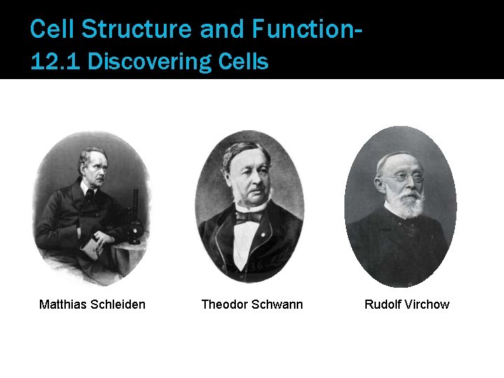 Cell Structure and Function 12. 1 Discovering Cells Matthias Schleiden Theodor Schwann Rudolf Virchow