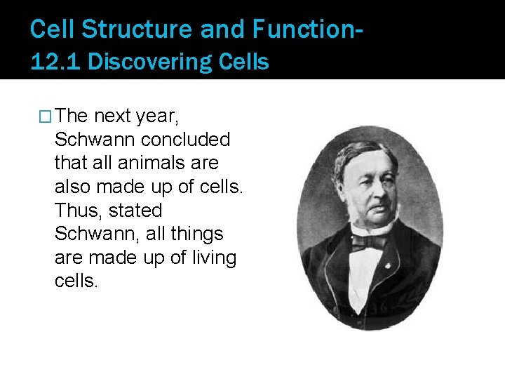 Cell Structure and Function 12. 1 Discovering Cells � The next year, Schwann concluded