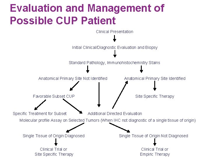 Evaluation and Management of Possible CUP Patient Clinical Presentation Initial Clinical/Diagnostic Evaluation and Biopsy