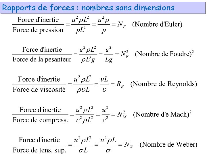 Rapports de forces : nombres sans dimensions 