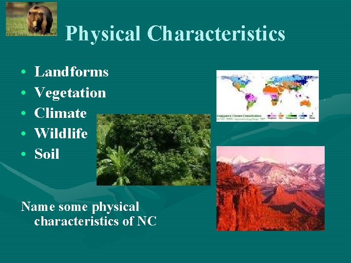 Physical Characteristics • • • Landforms Vegetation Climate Wildlife Soil Name some physical characteristics Physical Characteristics • • • Landforms Vegetation Climate Wildlife Soil Name some physical characteristics