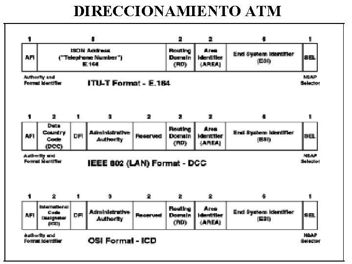 DIRECCIONAMIENTO ATM 