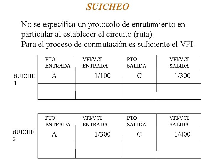 SUICHEO No se especifica un protocolo de enrutamiento en particular al establecer el circuito