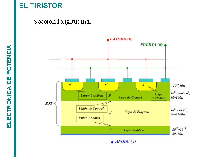 EL TIRISTOR ELECTRÓNICA DE POTENCIA Sección longitudinal 