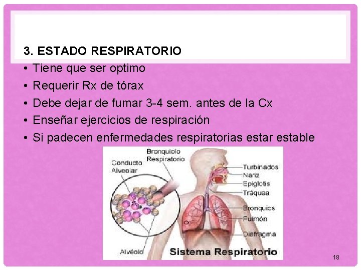 3. ESTADO RESPIRATORIO • Tiene que ser optimo • Requerir Rx de tórax •