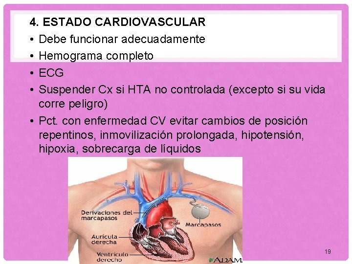 4. ESTADO CARDIOVASCULAR • Debe funcionar adecuadamente • Hemograma completo • ECG • Suspender