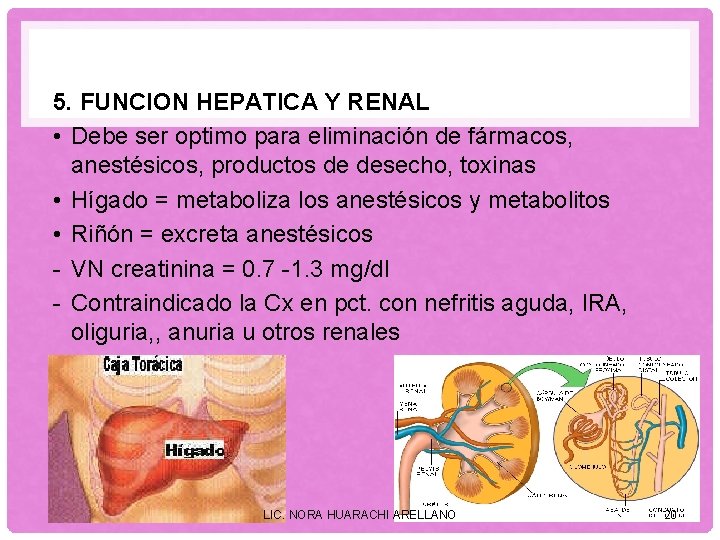 5. FUNCION HEPATICA Y RENAL • Debe ser optimo para eliminación de fármacos, anestésicos,