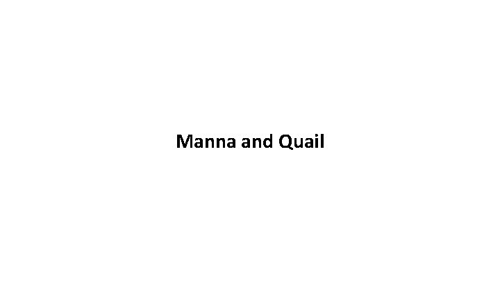 Manna and Quail 