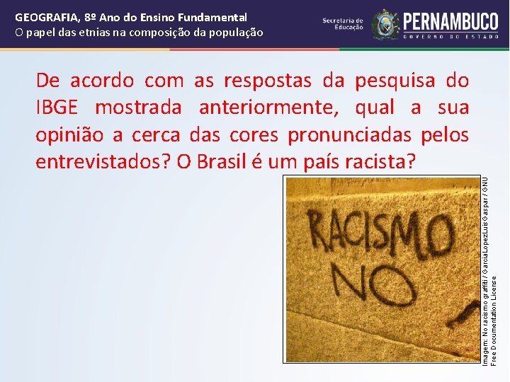 GEOGRAFIA, 8º Ano do Ensino Fundamental O papel das etnias na composição da população