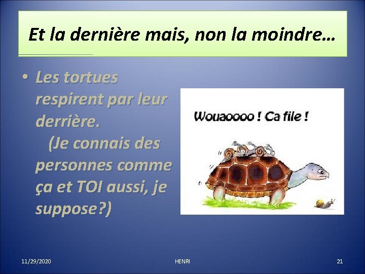 Et la dernière mais, non la moindre… • Les tortues respirent par leur derrière.