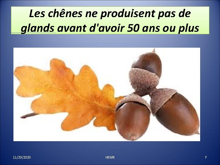 Les chênes ne produisent pas de glands avant d'avoir 50 ans ou plus 11/29/2020