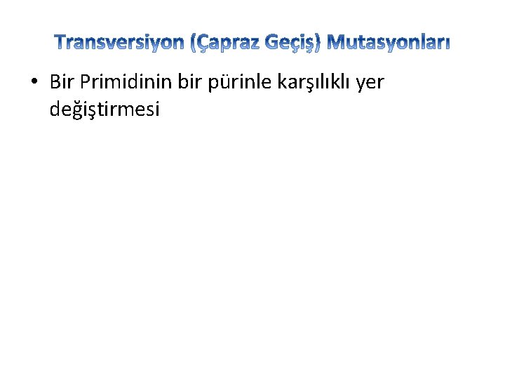  • Bir Primidinin bir pürinle karşılıklı yer değiştirmesi 