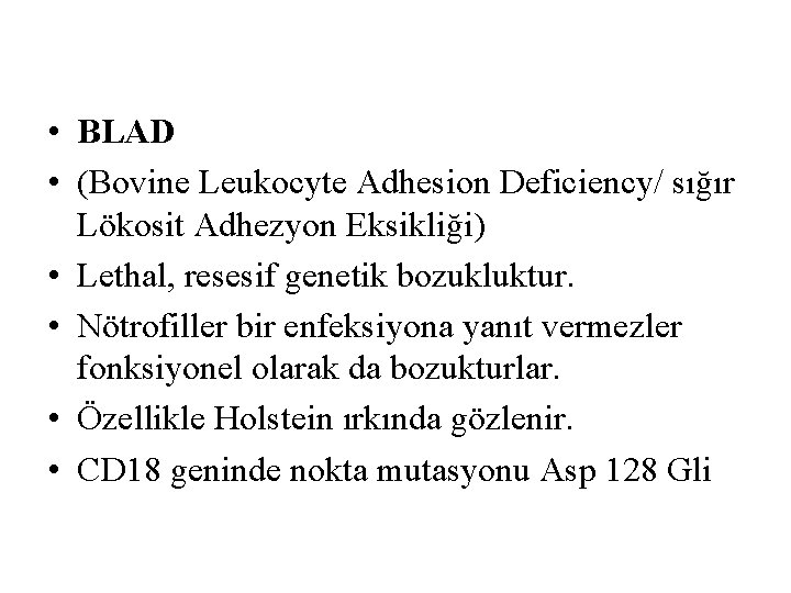  • BLAD • (Bovine Leukocyte Adhesion Deficiency/ sığır Lökosit Adhezyon Eksikliği) • Lethal,