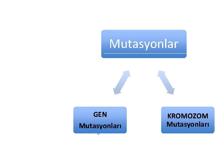 Mutasyonlar GEN Mutasyonları KROMOZOM Mutasyonları 