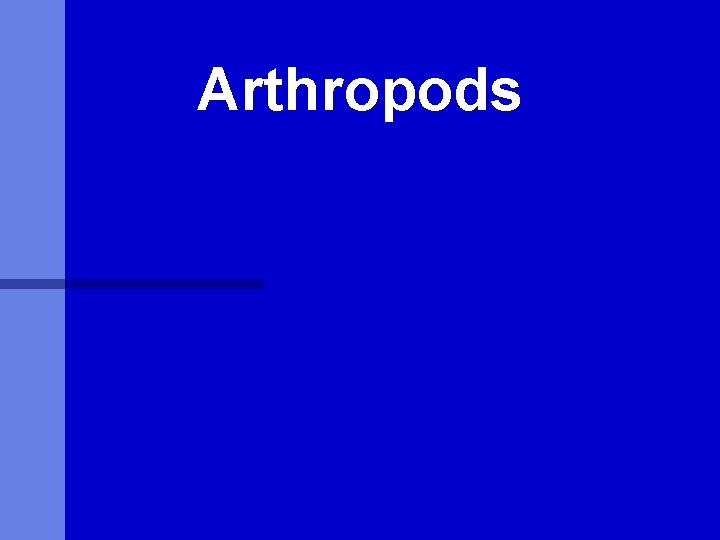 Arthropods 