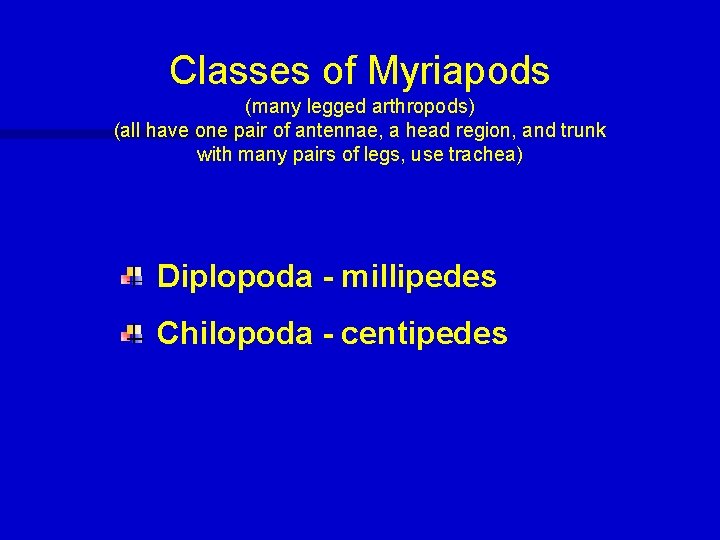 Classes of Myriapods (many legged arthropods) (all have one pair of antennae, a head