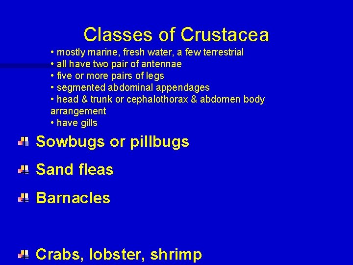 Classes of Crustacea • mostly marine, fresh water, a few terrestrial • all have