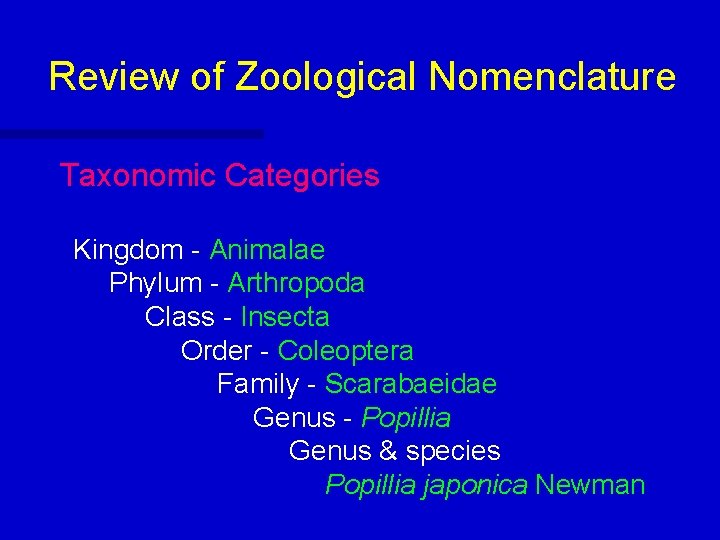 Review of Zoological Nomenclature Taxonomic Categories Kingdom - Animalae Phylum - Arthropoda Class -
