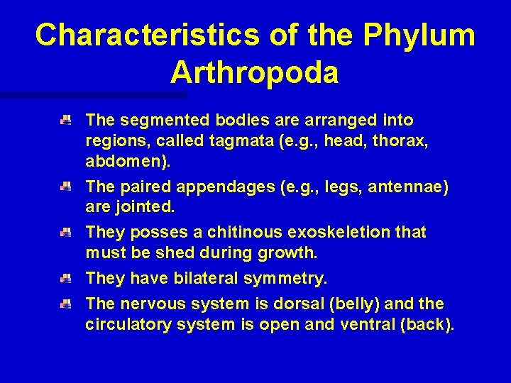 Characteristics of the Phylum Arthropoda The segmented bodies are arranged into regions, called tagmata