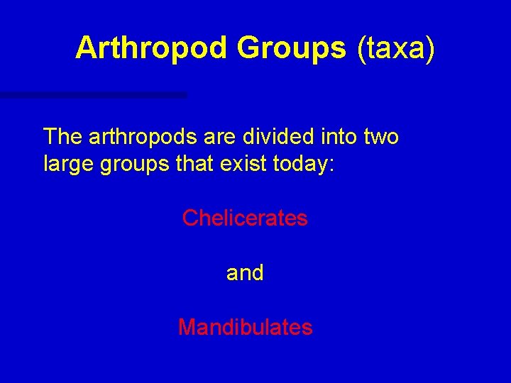 Arthropod Groups (taxa) The arthropods are divided into two large groups that exist today:
