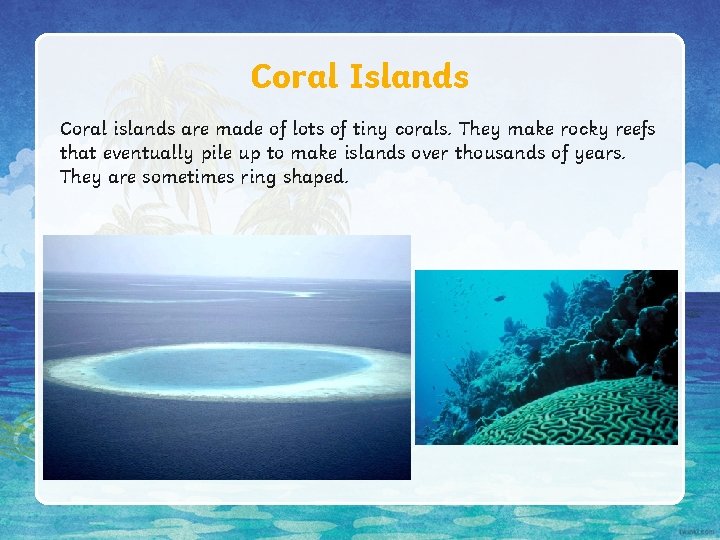 Coral Islands Coral islands are made of lots of tiny corals. They make rocky