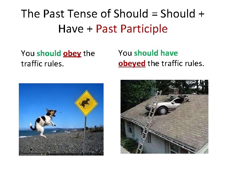 The Past Tense of Should = Should + Have + Past Participle You should The Past Tense of Should = Should + Have + Past Participle You should