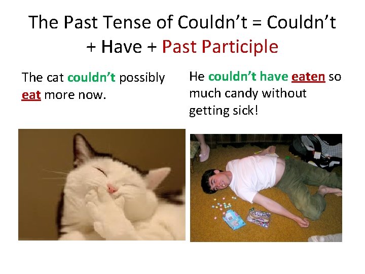 The Past Tense of Couldn’t = Couldn’t + Have + Past Participle The cat The Past Tense of Couldn’t = Couldn’t + Have + Past Participle The cat