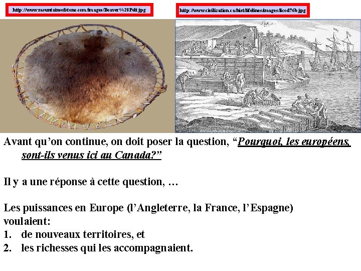 http: //www. mountainsofstone. com/images/Beaver%20 Pelt. jpg http: //www. civilization. ca/hist/lifelines/images/licod 76 b. jpg Avant http: //www. mountainsofstone. com/images/Beaver%20 Pelt. jpg http: //www. civilization. ca/hist/lifelines/images/licod 76 b. jpg Avant