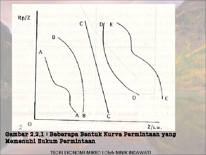 Gambar 2. 2. 1 : Beberapa Bentuk Kurva Permintaan yang Memenuhi Hukum Permintaan TEORI