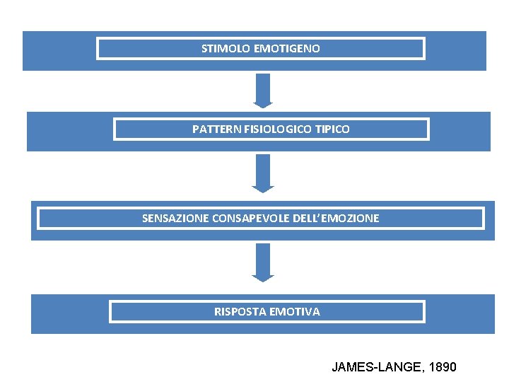 STIMOLOEMOTIGENO STIMOLO PATTERN FISIOLOGICO TIPICO SENSAZIONE CONSAPEVOLE DELL’EMOZIONE RISPOSTA EMOTIVA JAMES-LANGE, 1890 