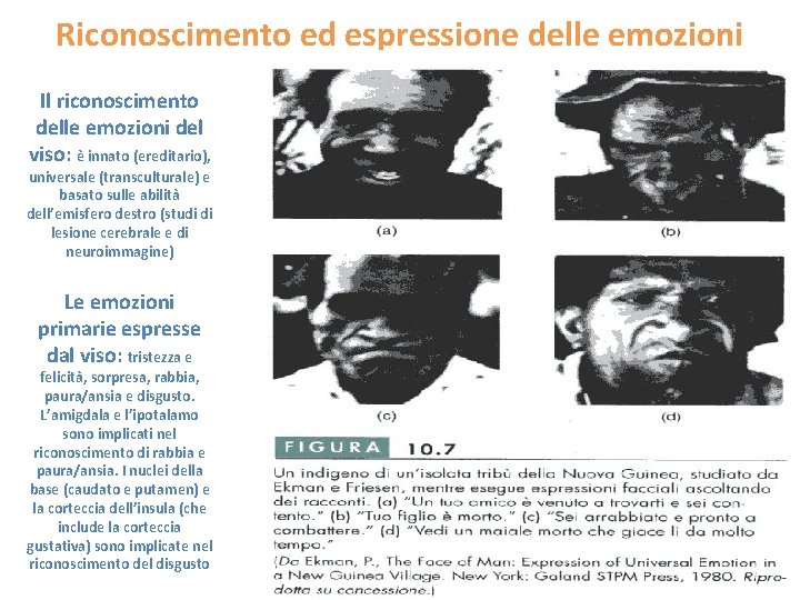 Riconoscimento ed espressione delle emozioni Il riconoscimento delle emozioni del viso: è innato (ereditario),