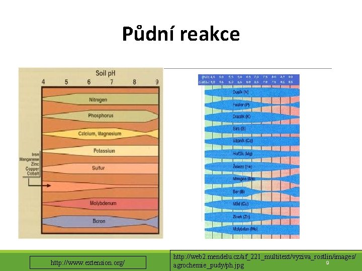 Půdní reakce http: //www. extension. org/ http: //web 2. mendelu. cz/af_221_multitext/vyziva_rostlin/images/ 9 agrochemie_pudy/ph. jpg