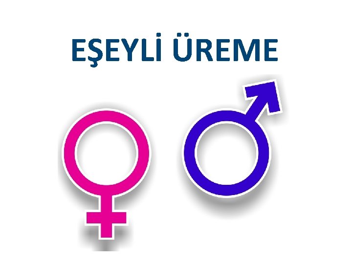 EŞEYLİ ÜREME 